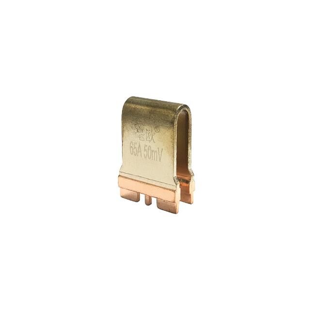 HoFLQ60-65A-50mV-1% painted